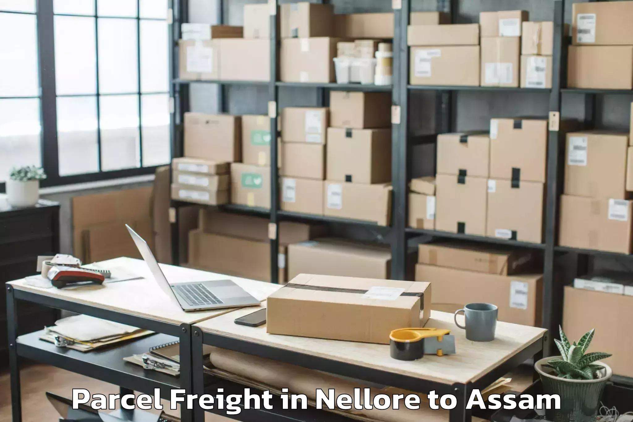 Top Nellore to Chapar Parcel Freight Available